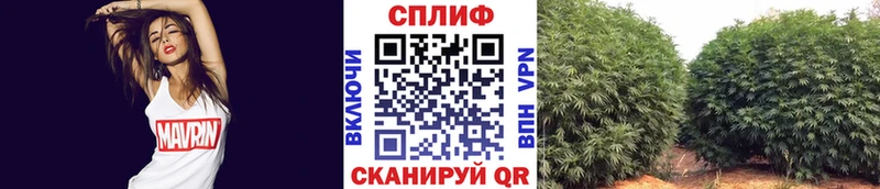 Где купить Георгиевск АМФЕТАМИН Меф КОКАИН Гашиш Бошки Шишки